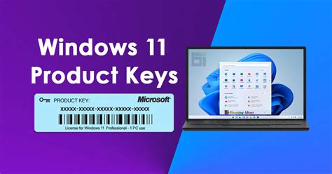 windows 11 product key finder